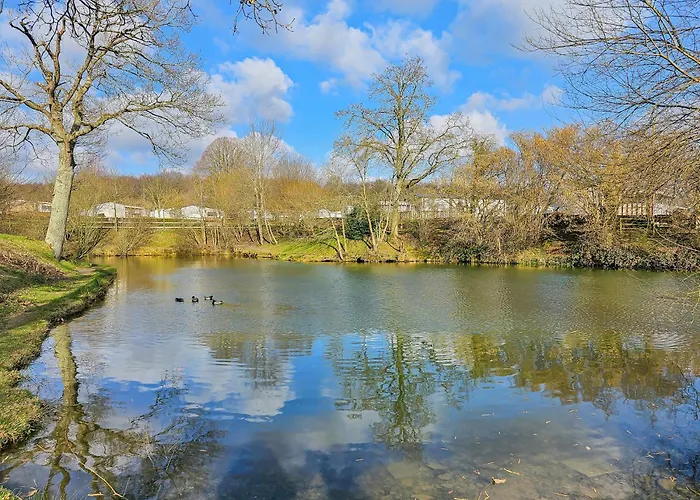 Le Nomatitoz * Litteau